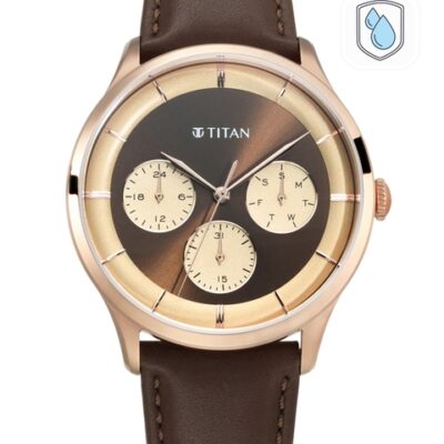 Titan Men Brown Analogue Watch