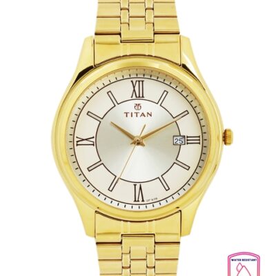 Titan Men Gold-Toned Dial Watch 1713YM03