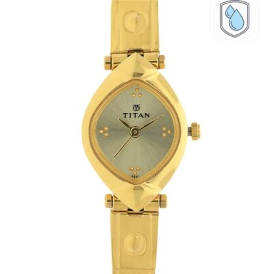 Titan Women Gold-Toned & Grey Analo...